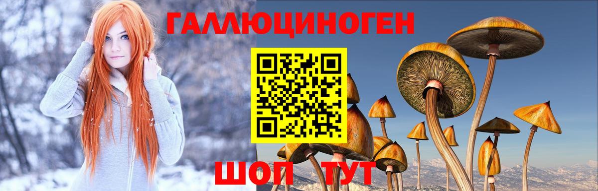 Псилоцибиновые грибы Cubensis  Галлюциногенные грибы прущие грибы  Ишимбай  Вход с VPN 